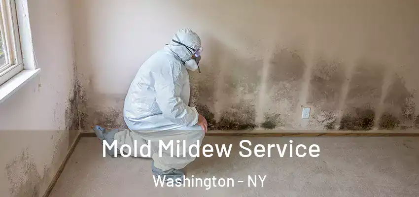 Mold Mildew Service Washington - NY