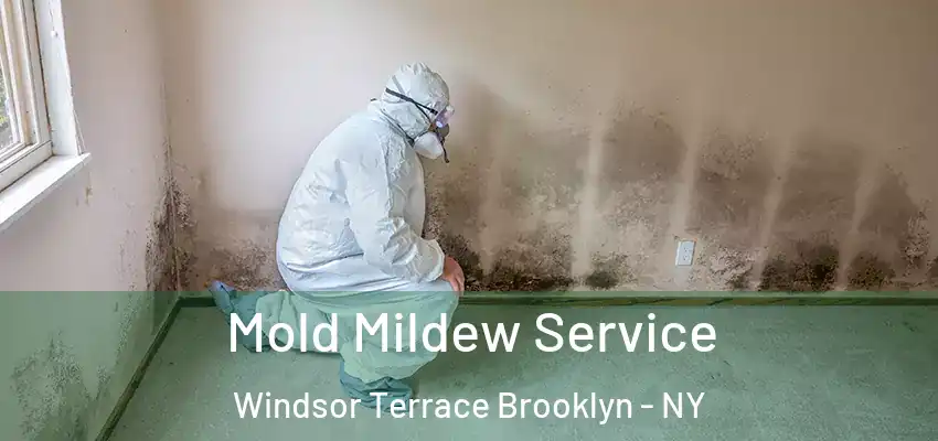  Mold Mildew Service Windsor Terrace Brooklyn - NY