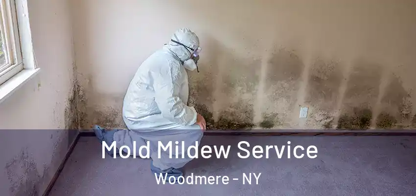  Mold Mildew Service Woodmere - NY