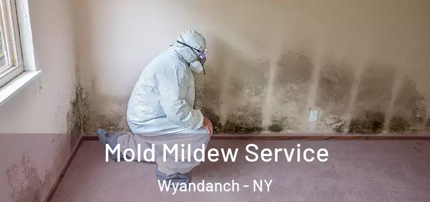  Mold Mildew Service Wyandanch - NY