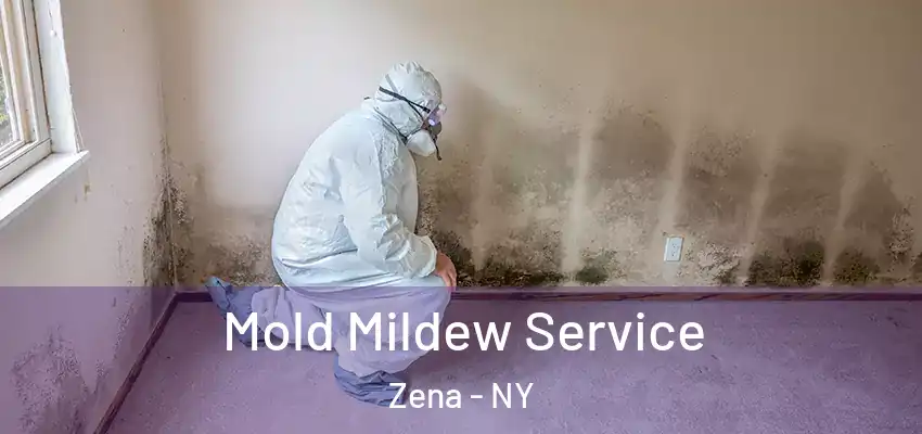 Mold Mildew Service Zena - NY