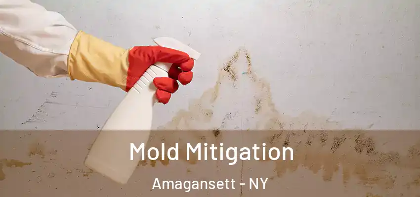  Mold Mitigation Amagansett - NY