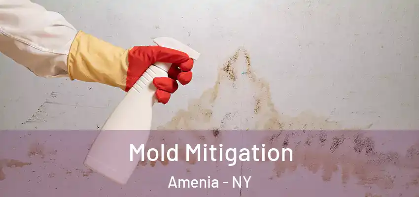  Mold Mitigation Amenia - NY