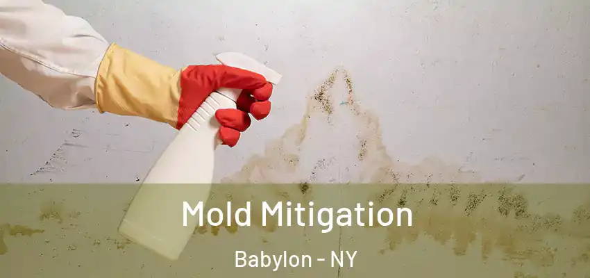 Mold Mitigation Babylon - NY