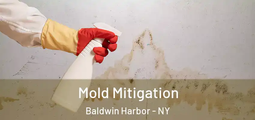  Mold Mitigation Baldwin Harbor - NY