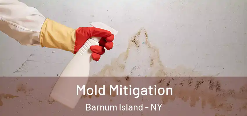 Mold Mitigation Barnum Island - NY