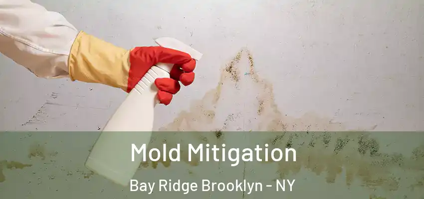  Mold Mitigation Bay Ridge Brooklyn - NY