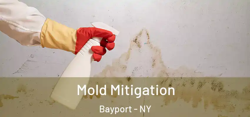  Mold Mitigation Bayport - NY