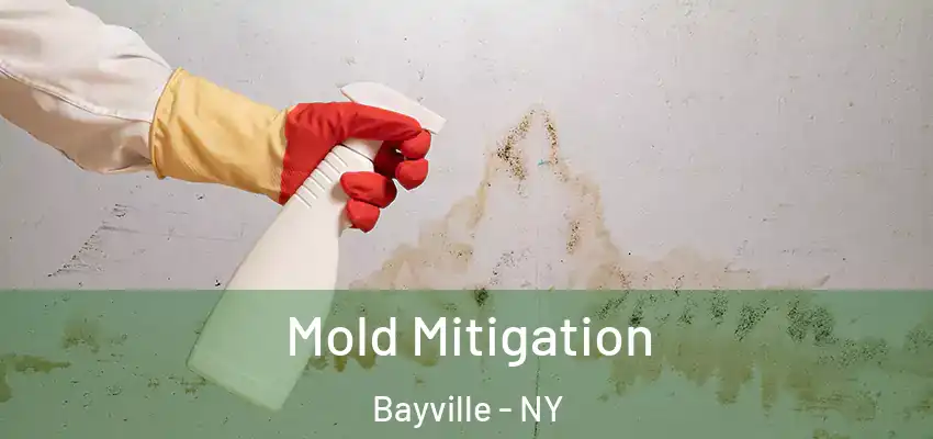  Mold Mitigation Bayville - NY