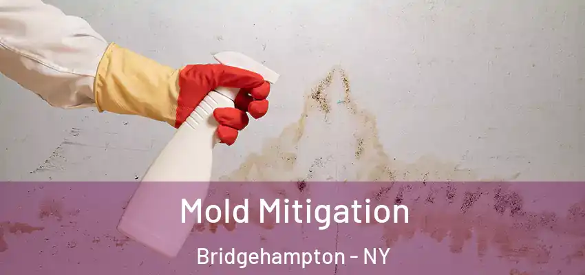  Mold Mitigation Bridgehampton - NY