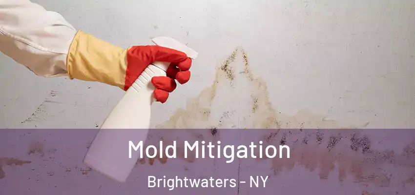  Mold Mitigation Brightwaters - NY