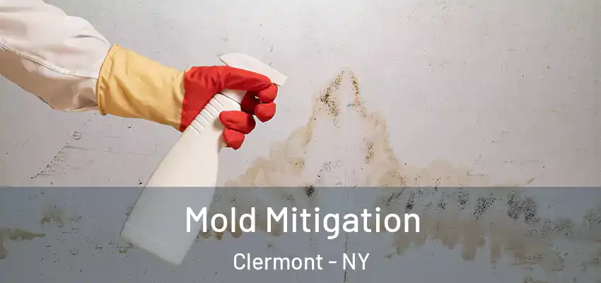  Mold Mitigation Clermont - NY