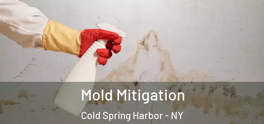  Mold Mitigation Cold Spring Harbor - NY
