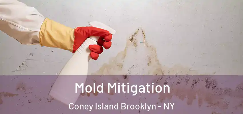 Mold Mitigation Coney Island Brooklyn - NY