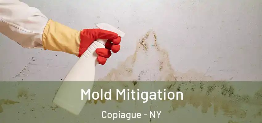  Mold Mitigation Copiague - NY