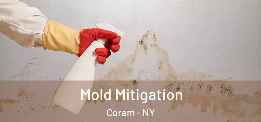  Mold Mitigation Coram - NY