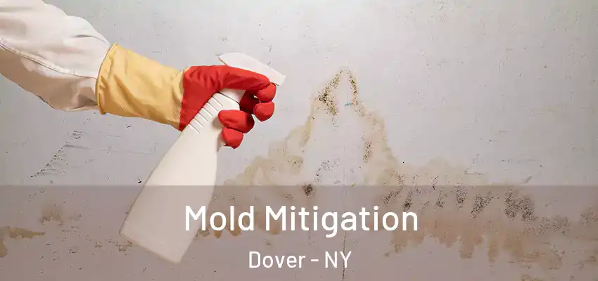  Mold Mitigation Dover - NY