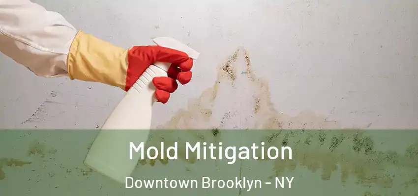 Mold Mitigation Downtown Brooklyn - NY