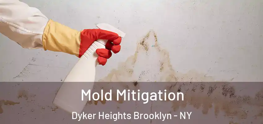 Mold Mitigation Dyker Heights Brooklyn - NY
