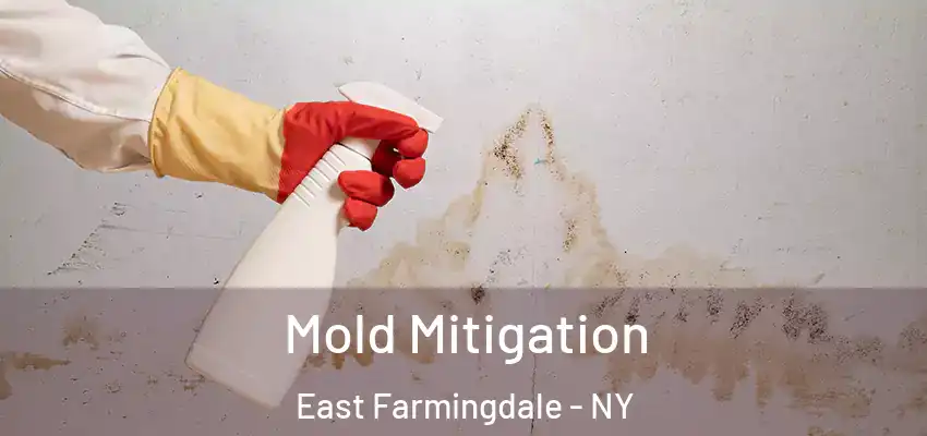  Mold Mitigation East Farmingdale - NY