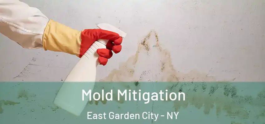 Mold Mitigation East Garden City - NY