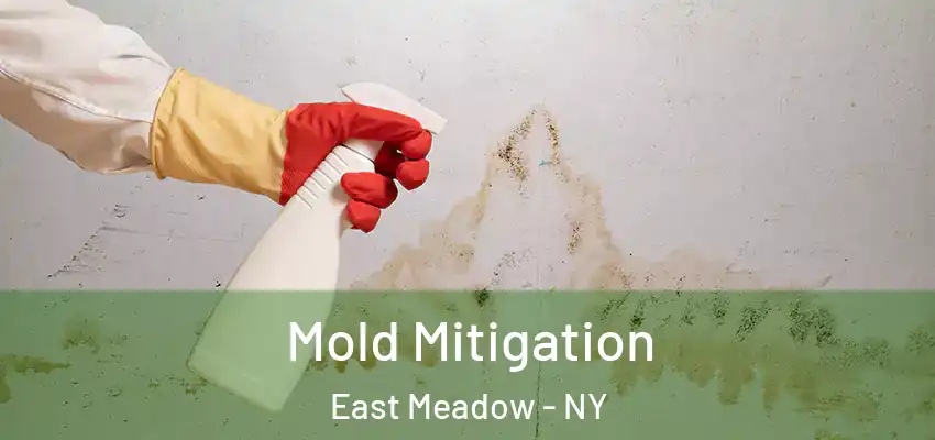  Mold Mitigation East Meadow - NY