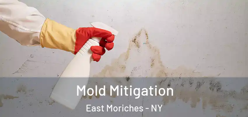 Mold Mitigation East Moriches - NY