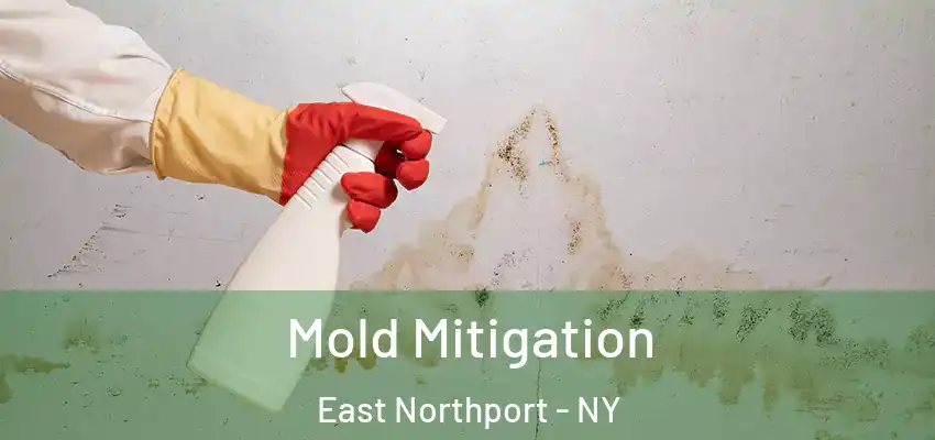 Mold Mitigation East Northport - NY