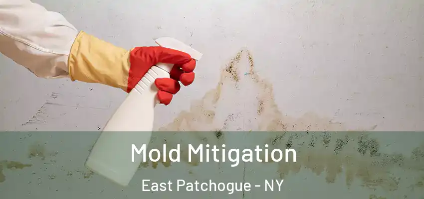  Mold Mitigation East Patchogue - NY