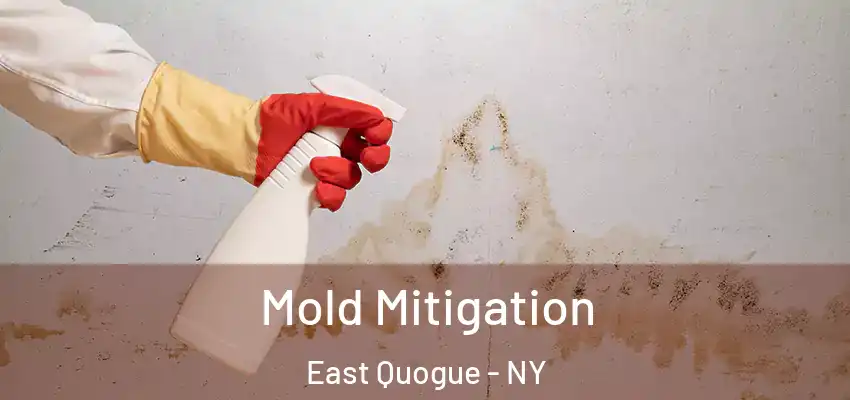  Mold Mitigation East Quogue - NY