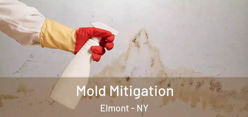 Mold Mitigation Elmont - NY
