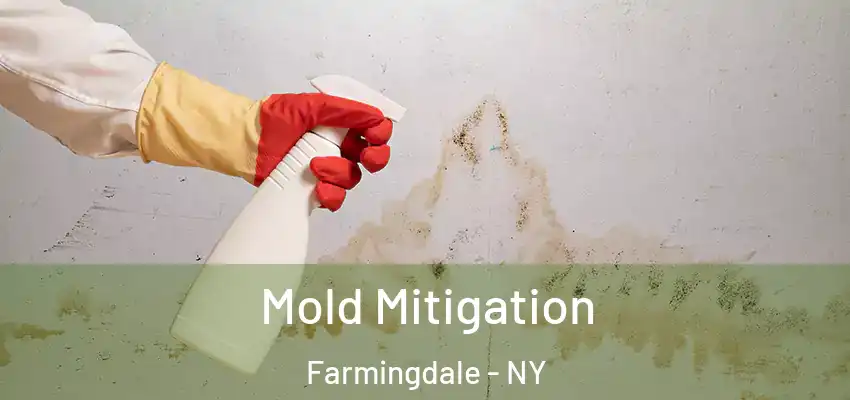 Mold Mitigation Farmingdale - NY