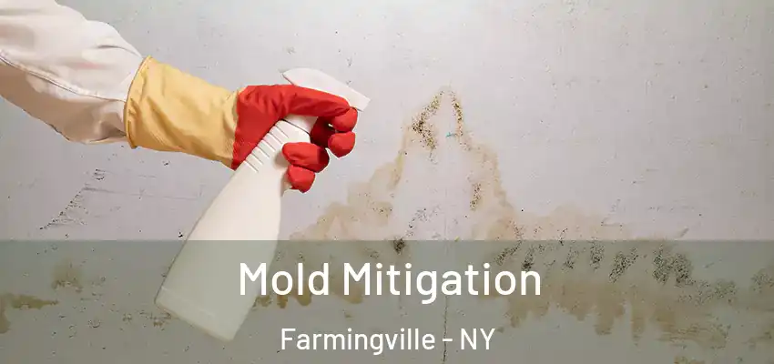 Mold Mitigation Farmingville - NY
