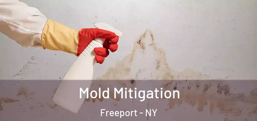 Mold Mitigation Freeport - NY