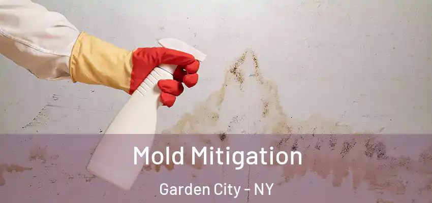 Mold Mitigation Garden City - NY