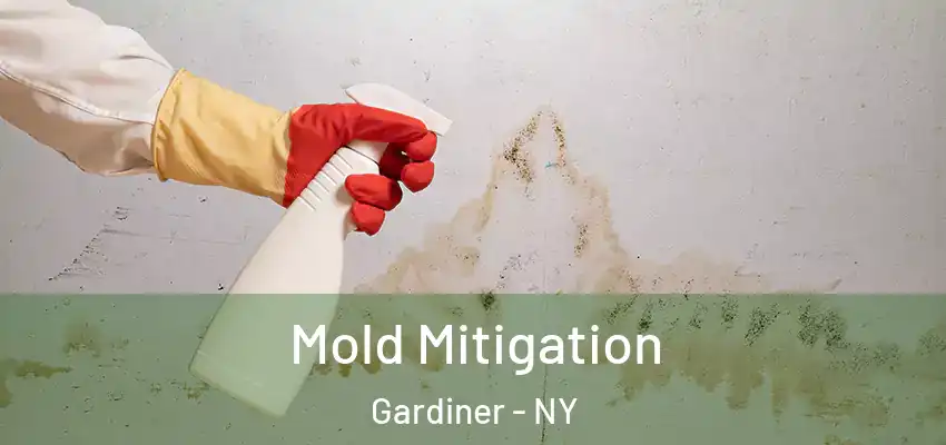 Mold Mitigation Gardiner - NY