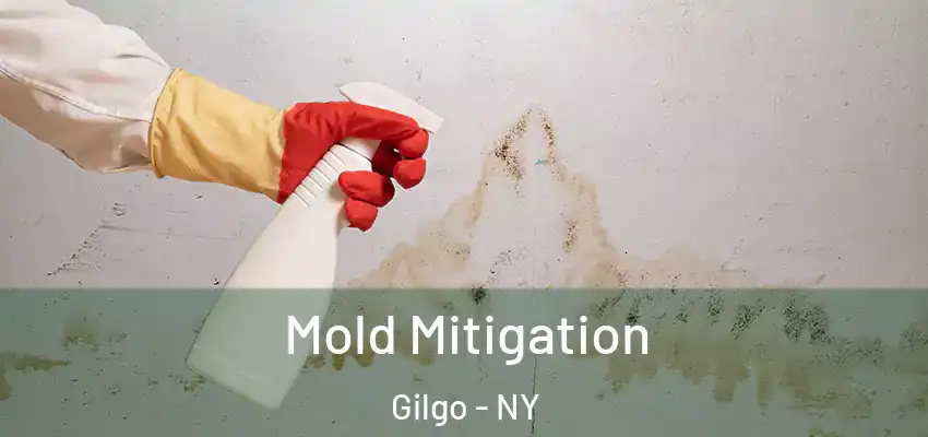Mold Mitigation Gilgo - NY
