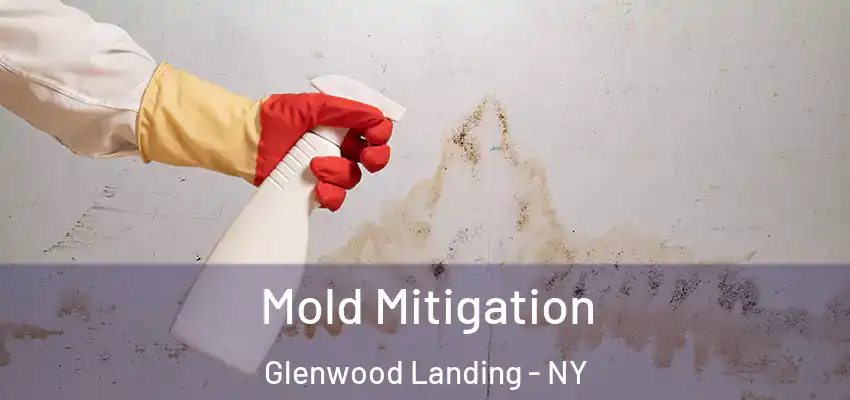  Mold Mitigation Glenwood Landing - NY
