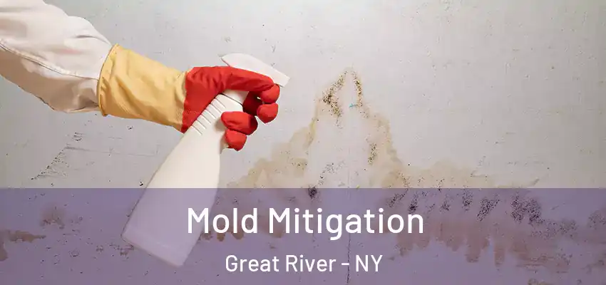 Mold Mitigation Great River - NY