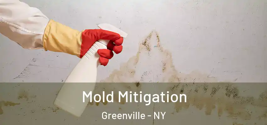 Mold Mitigation Greenville - NY