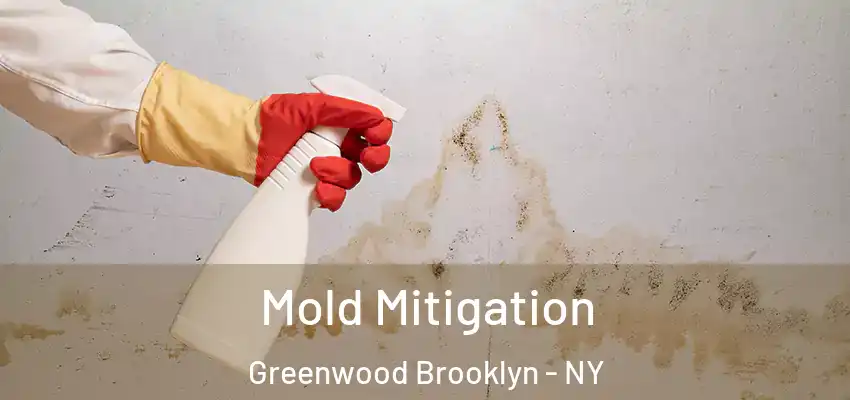  Mold Mitigation Greenwood Brooklyn - NY