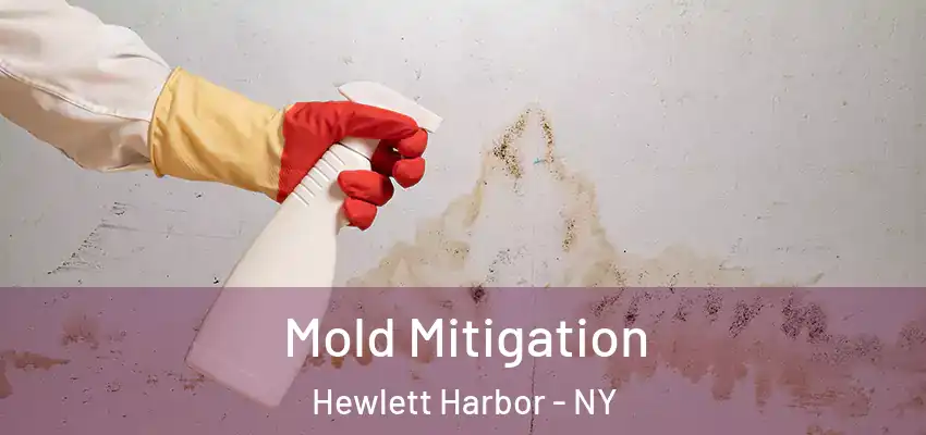  Mold Mitigation Hewlett Harbor - NY
