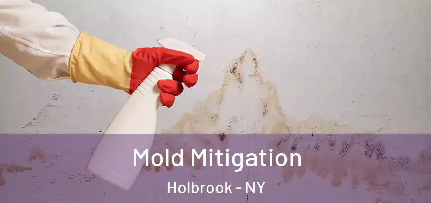  Mold Mitigation Holbrook - NY
