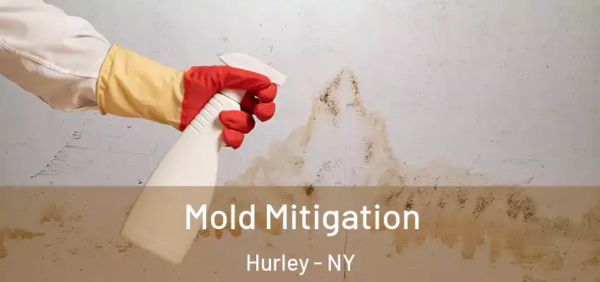 Mold Mitigation Hurley - NY