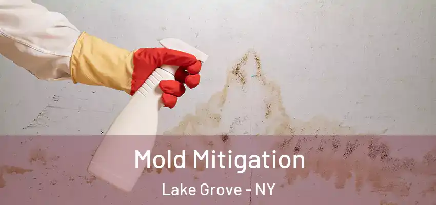  Mold Mitigation Lake Grove - NY