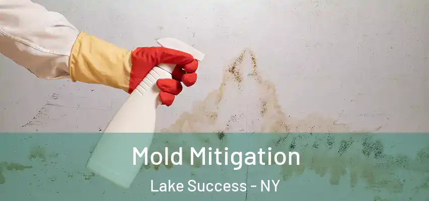 Mold Mitigation Lake Success - NY