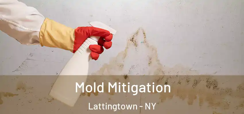  Mold Mitigation Lattingtown - NY