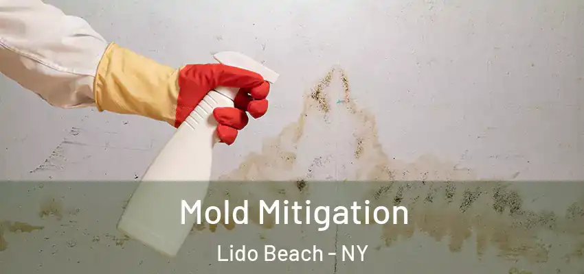  Mold Mitigation Lido Beach - NY