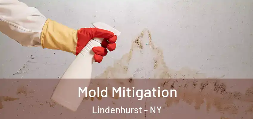 Mold Mitigation Lindenhurst - NY