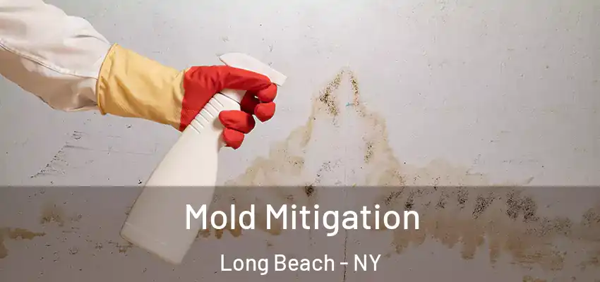  Mold Mitigation Long Beach - NY